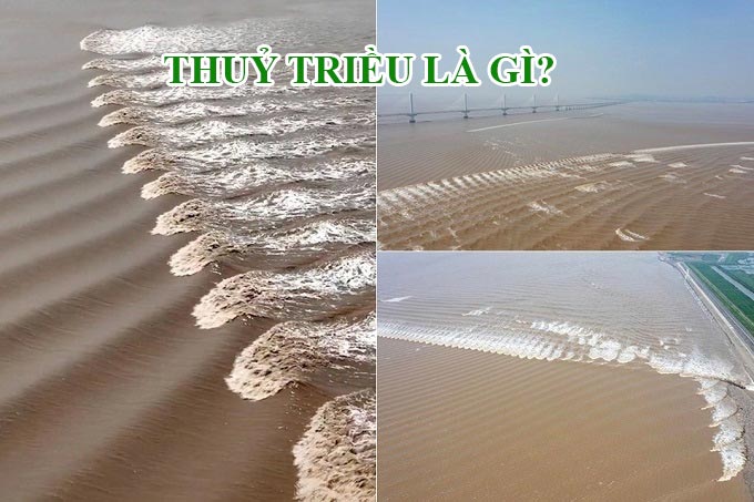 Những điều có thể bạn chưa biết về thuỷ triều